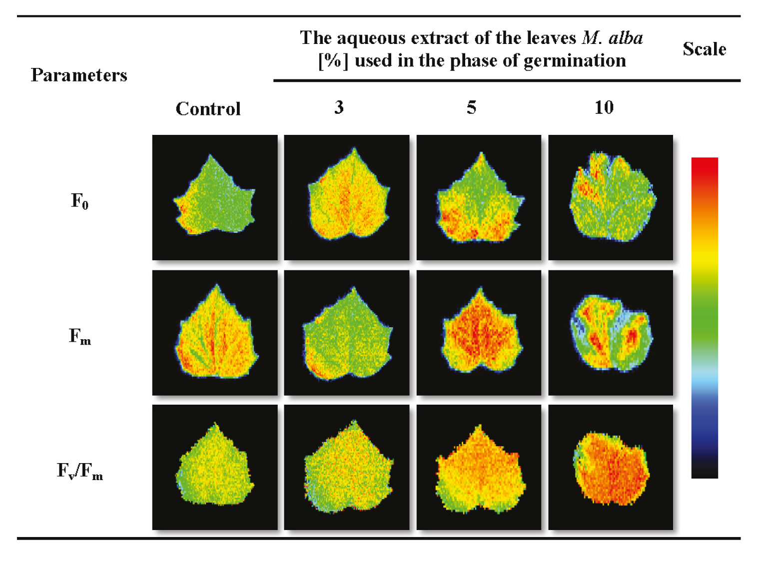 Fig. 3. Imaging of chlorophyll a fluorescence in leaves of studied plants based on the parameters F0, Fm, Fv/Fm treated by aqueous extracts from the leaves of Morus alba in the phase of germination for Cucumis sativus.