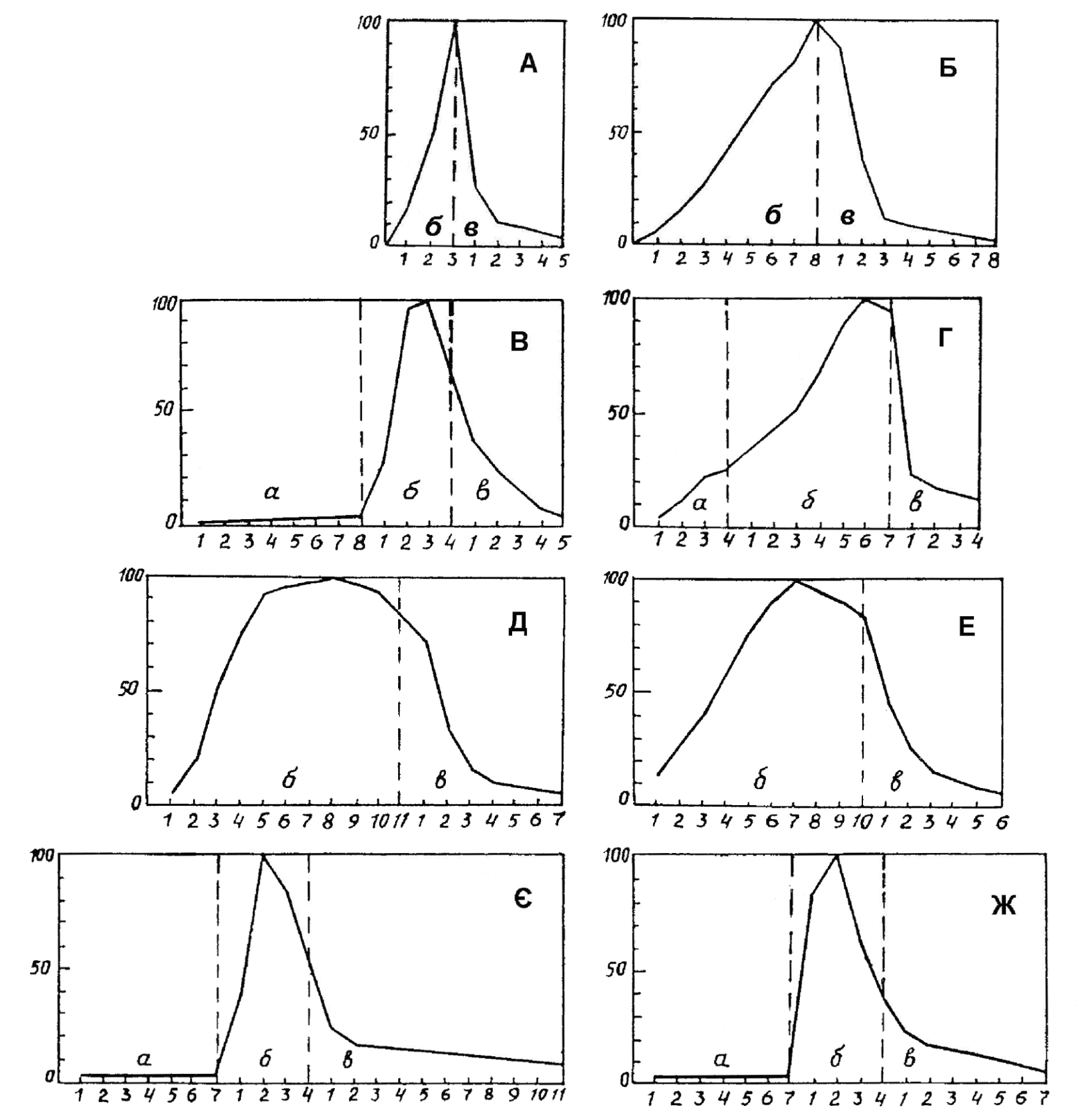 Fig. 1. One-vertex model plots of the change of length of internodes along the axis of monocarpic shoot with maximum in prefloral zone for Lamiaceae species (subtype A). Plant species: A – Thymus pulcherrimus; Б – Th. alpestris; В – Melittis sarmatica; Г – Prunella grandiflora; Д – Thymus pallasianus; Е – Th. serpyllum; Є – Salvia pratensis; Ж – Phlomis tuberosа. Shoot zones: а – basal; б – prefloral; в – floral; X-axis – numbers of internodes in shoot zones; Y-axis – length of the internodes (in % from its maximal value).