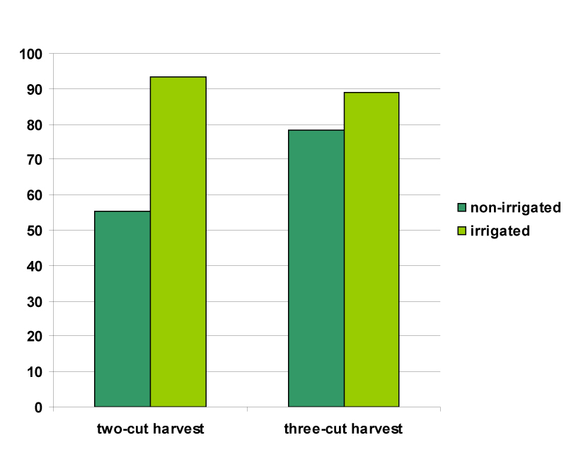 Fig. 1. Effect of the frequency of harvests and irrigation on yield of leaf celery (mean of cultivars, t · ha-1).