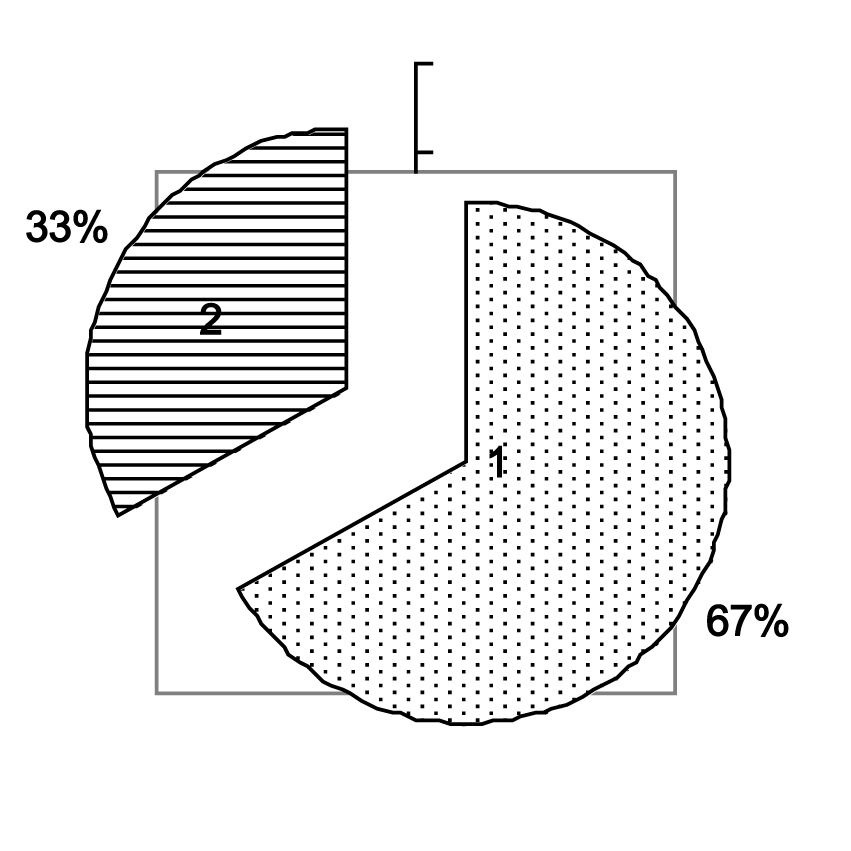Fig. 1. The quantity of flowers per one individual of Crocus reticulatus. 1 – one flower or fruit, 2 – two or three flowers or fruits.
