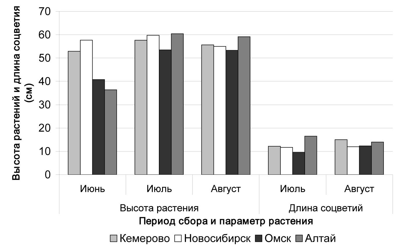 Fig. 1. Linear characters of Hypericum perforatum from various regions depending on a phase of plants development.