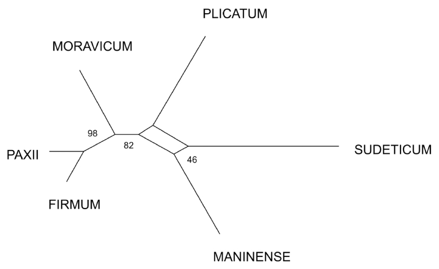 Fig. 1. Consensus Network (SplitsTree4, Huson & Bryant 2006) based on Reynolds’s distances from 255 ISSR+RAPD  bands. Bootstrap values (1000 permutations) are given.