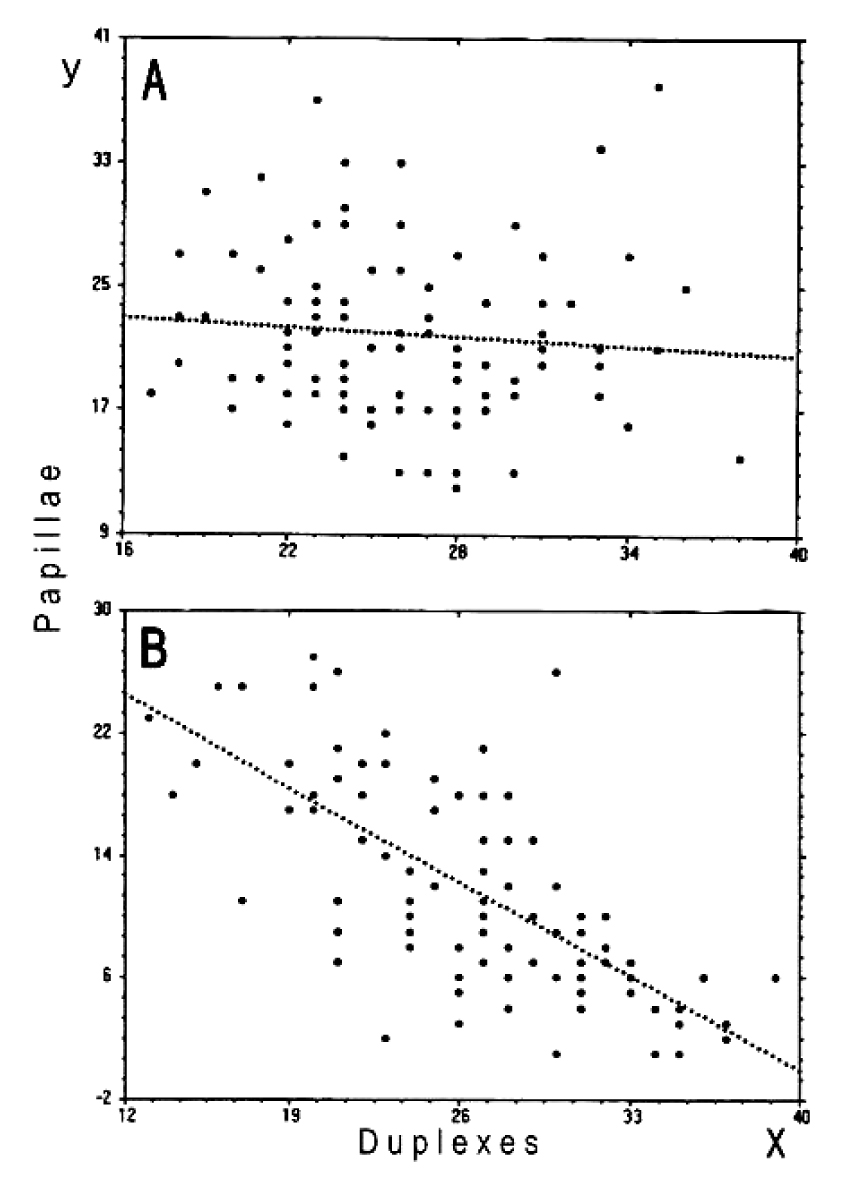 Fig. 1. A regressional pattern of abaxial epidermis development in lemma (A) and palea (B) of Avena fatua, illustrated by a frequency of duplexes (x-axis) versus papillae (y-axis).