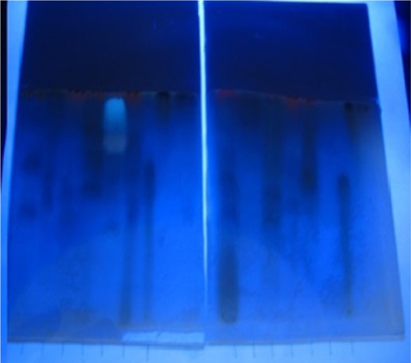 Fig. 1. Identification of flavonoids by thin-layer chromatografy, a and b systems.