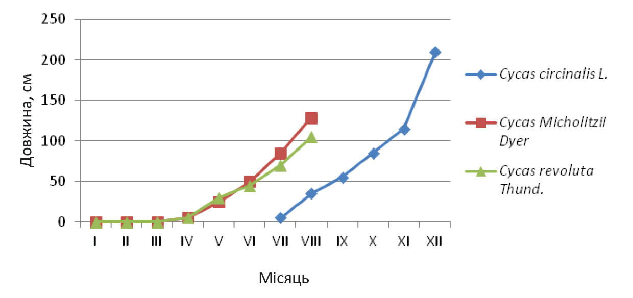 Fig. 1. The dynamics of growth of leaves in Cycadaceae members during 2013.