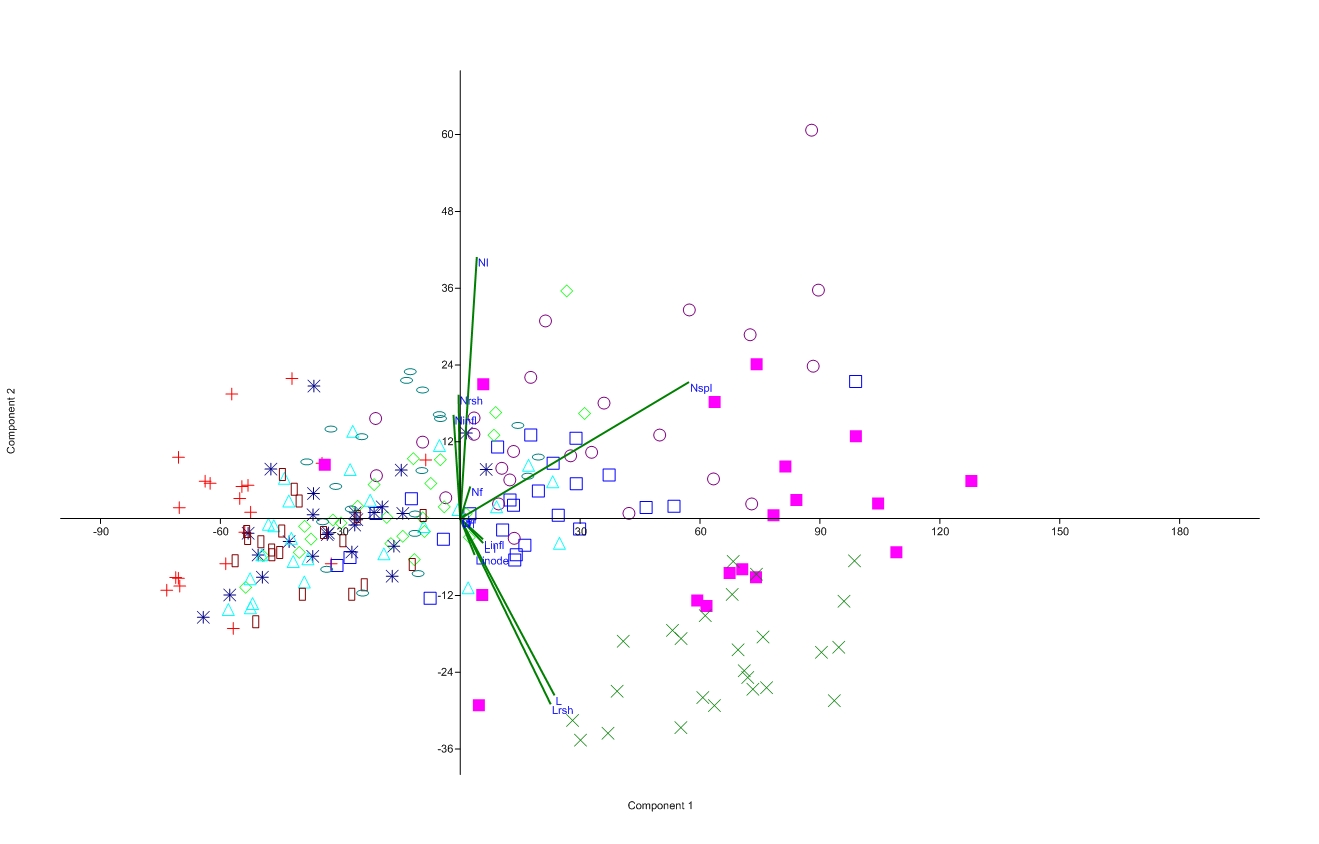 Fig. 3. Results of PCA-ordination of coenopopulations Eragrostis minor.