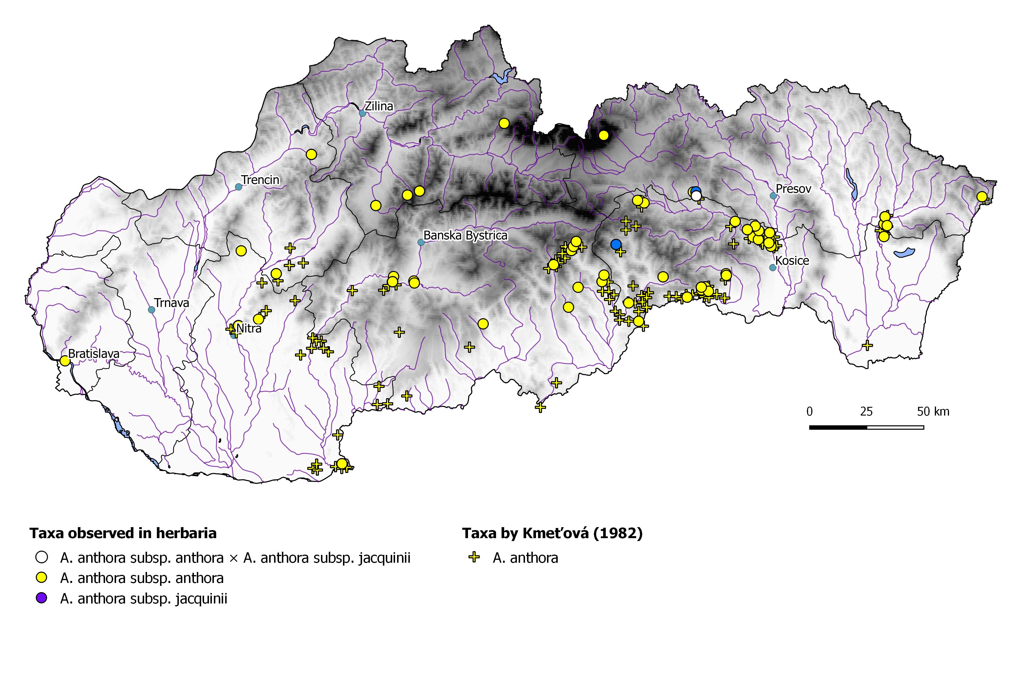 Fig. 9. Map of Aconitum anthora distribution in Slovakia.